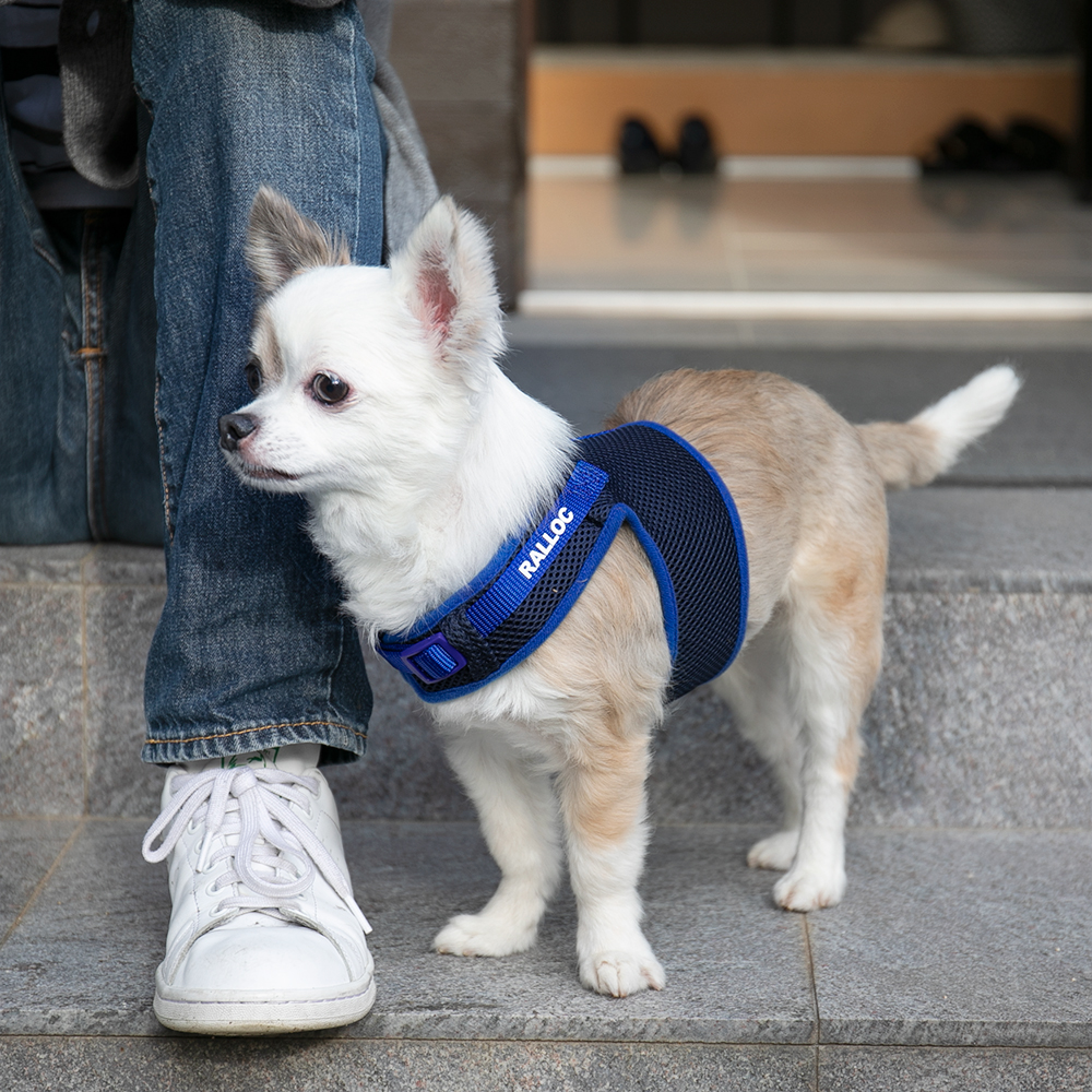 犬 ハーネス ラロック シンプルベストハーネス メッシュ 超小型犬用・小型犬用胴輪 メール便のみ送料無料 リードは別売 |  | 18