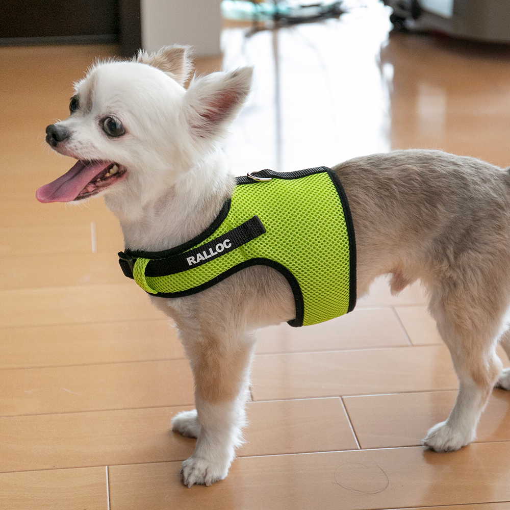犬 ハーネス ラロック シンプルベストハーネス メッシュ 超小型犬用 小型犬用胴輪 メール便のみ送料無料 ギフト包装可 リードは別売 ラロックショップ Yahoo 店 通販 Yahoo ショッピング 犬 ハーネス ラロック シンプルベストハーネス メッシュ 超小型犬用 小型犬用胴輪 メール便のみ送料無料 ギフト包装可 リードは別売 ラロックショップ Yahoo 店 通販 Yahoo ショッピング