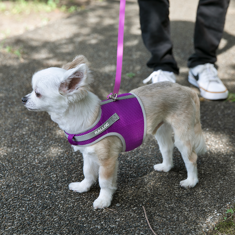 犬 ハーネス ラロック シンプルベストハーネス メッシュ 超小型犬用