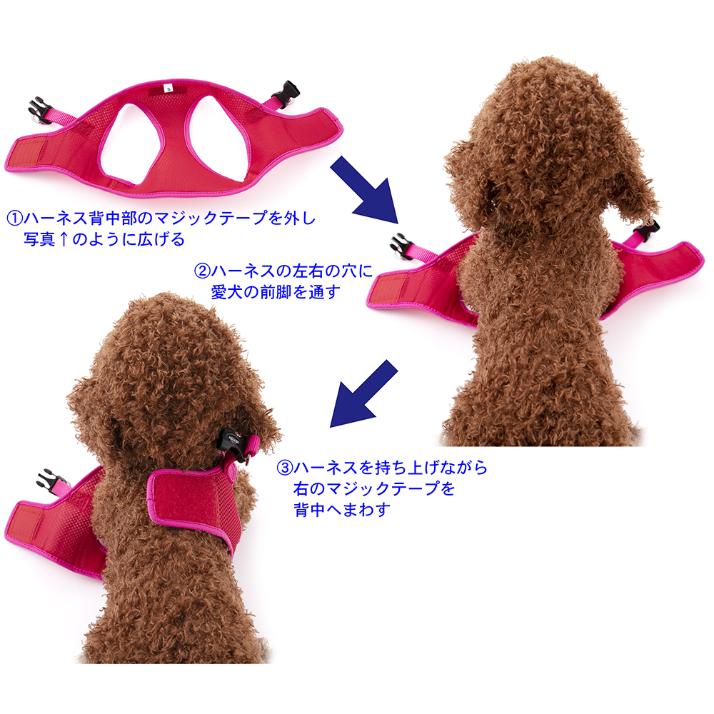 犬 ハーネス ラロック シンプルメッシュハーネス L・XLサイズ 超小型犬用・小型犬用ハーネス メール便のみ送料無料 ギフト包装可 リードは別売 |  | 20