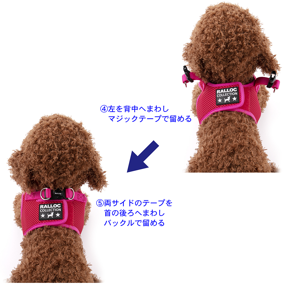 犬 ハーネス ラロック シンプルメッシュハーネス L・XLサイズ 超小型犬用・小型犬用ハーネス メール便のみ送料無料 ギフト包装可 リードは別売 |  | 21