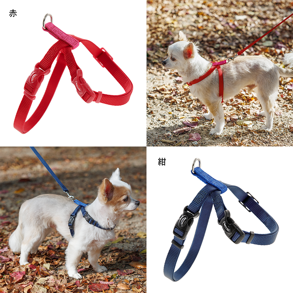 犬 ハーネス ラロック おしゃれ かわいい 着脱簡単 ツービーハーネス ベーシック 超小型犬用・小型犬用胴輪 メール便のみ送料無料 リードは別売 |  | 24