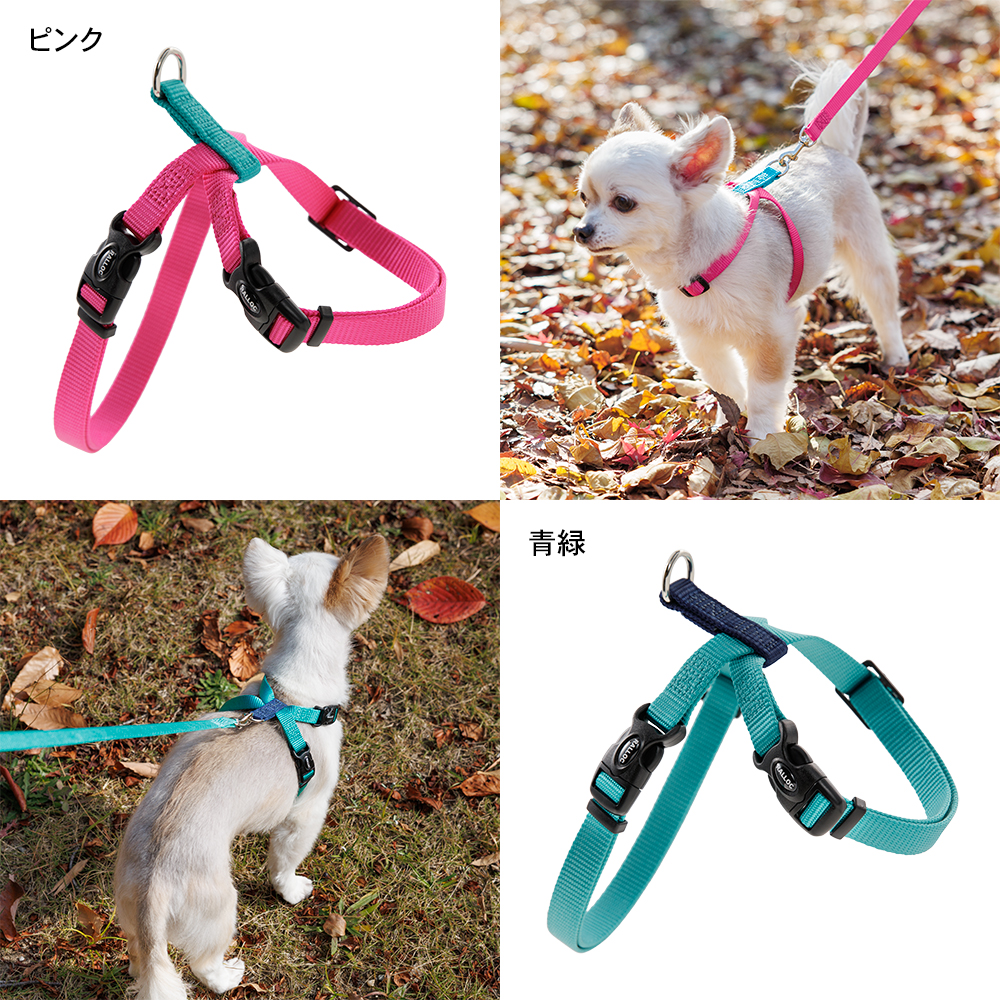 犬 ハーネス ラロック おしゃれ かわいい 着脱簡単 ツービーハーネス ベーシック 超小型犬用・小型犬用胴輪 メール便のみ送料無料 リードは別売 |  | 25