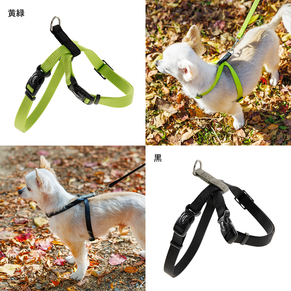 犬 ハーネス ラロック おしゃれ かわいい 着脱簡単 ツービーハーネス ベーシック 超小型犬用・小型犬用胴輪 メール便のみ送料無料 リードは別売 |  | 26