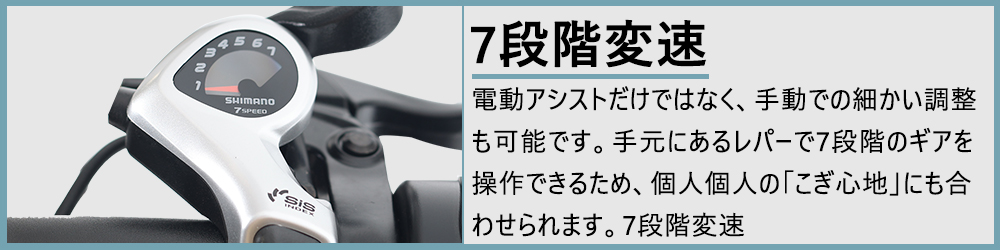 【型式認定獲得 免許不要】電動アシスト自転車 20インチ FLYFISH A5 折り畳み電動アシスト自転車 20インチ折り畳み外装7段変速 折りたたみ自転車 公道走行可能｜rallyshop｜15