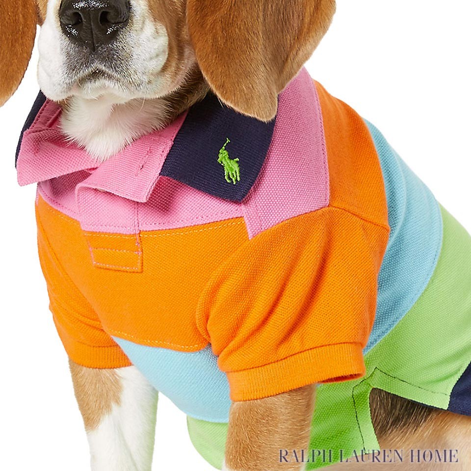 ラルフローレン ドッグウェア : Striped Cotton Mesh Dog Polo [犬用ポロシャツ／コットン／ボーダー][即日発送