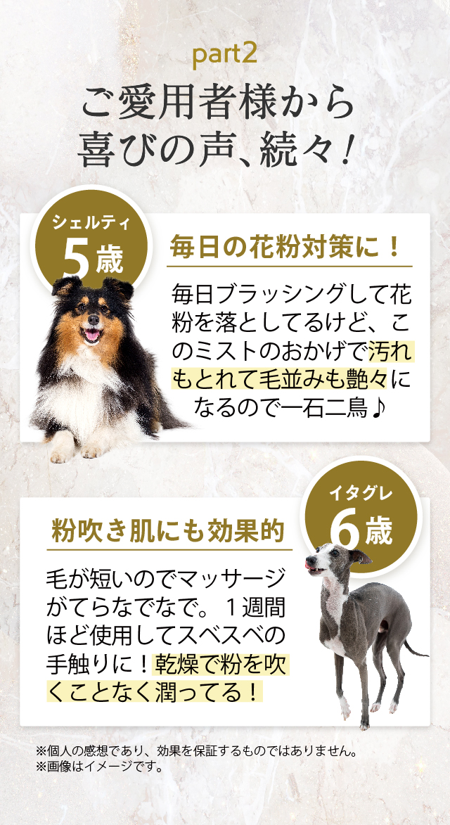 AT・PET（アトペット） フコロジーミストデオ 200ml