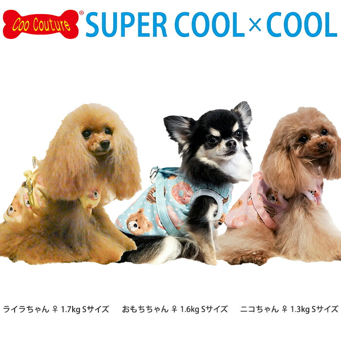 2026夏新作 クークチュール スーパークール×クール ドルチェベア