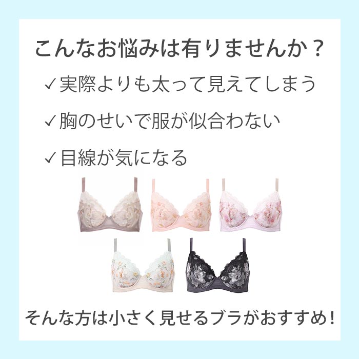 ワコール　E75 小さく見せるブラ　2個セット ワコール E75 小さく見せるブラ 2個セット ワコール E75 小さく見せる