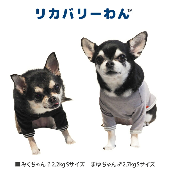 リカバリーわん（テラヘルツワン） 長袖Tシャツ (3色)ペット介護 犬用 