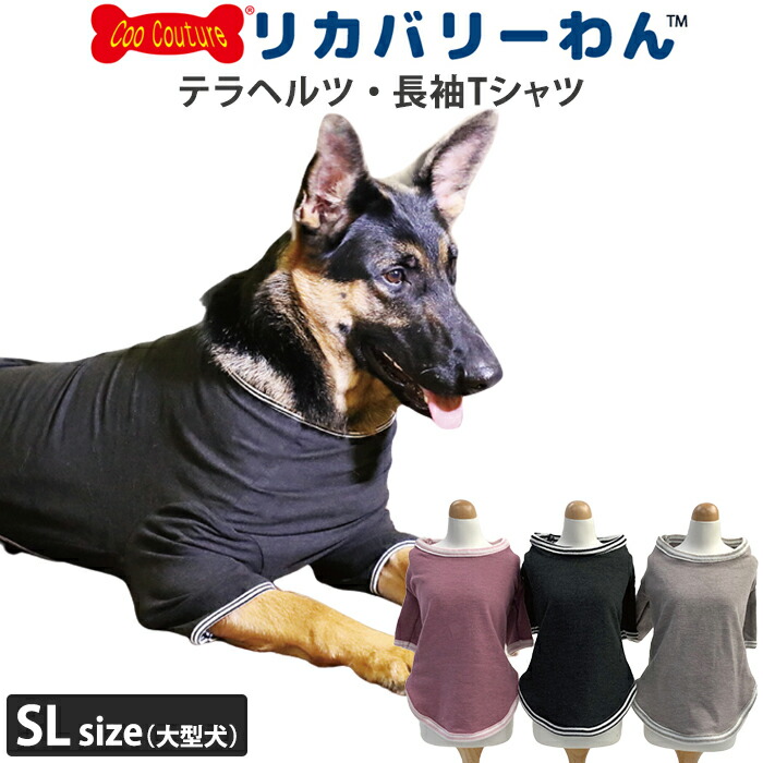cc-50045l-ima.jpg