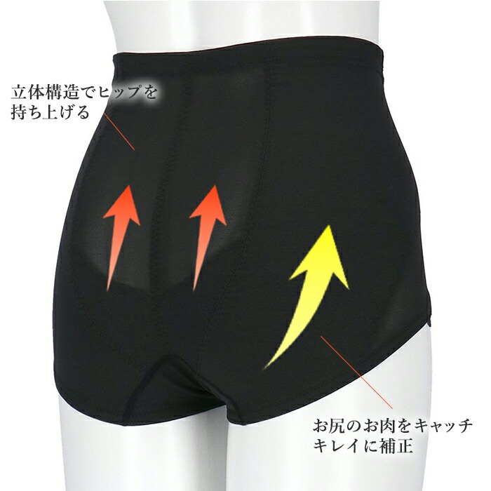 WACOAL（ワコール） ガードル Style Changer スタイルチェンジャー 高