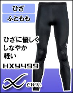 エキスパートモデル