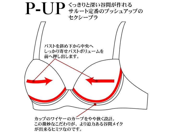 WACOAL（ワコール） サルート P-UP (Gカップ Hカップ Iカップ