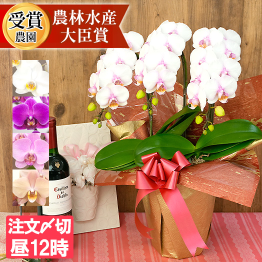 2株3F