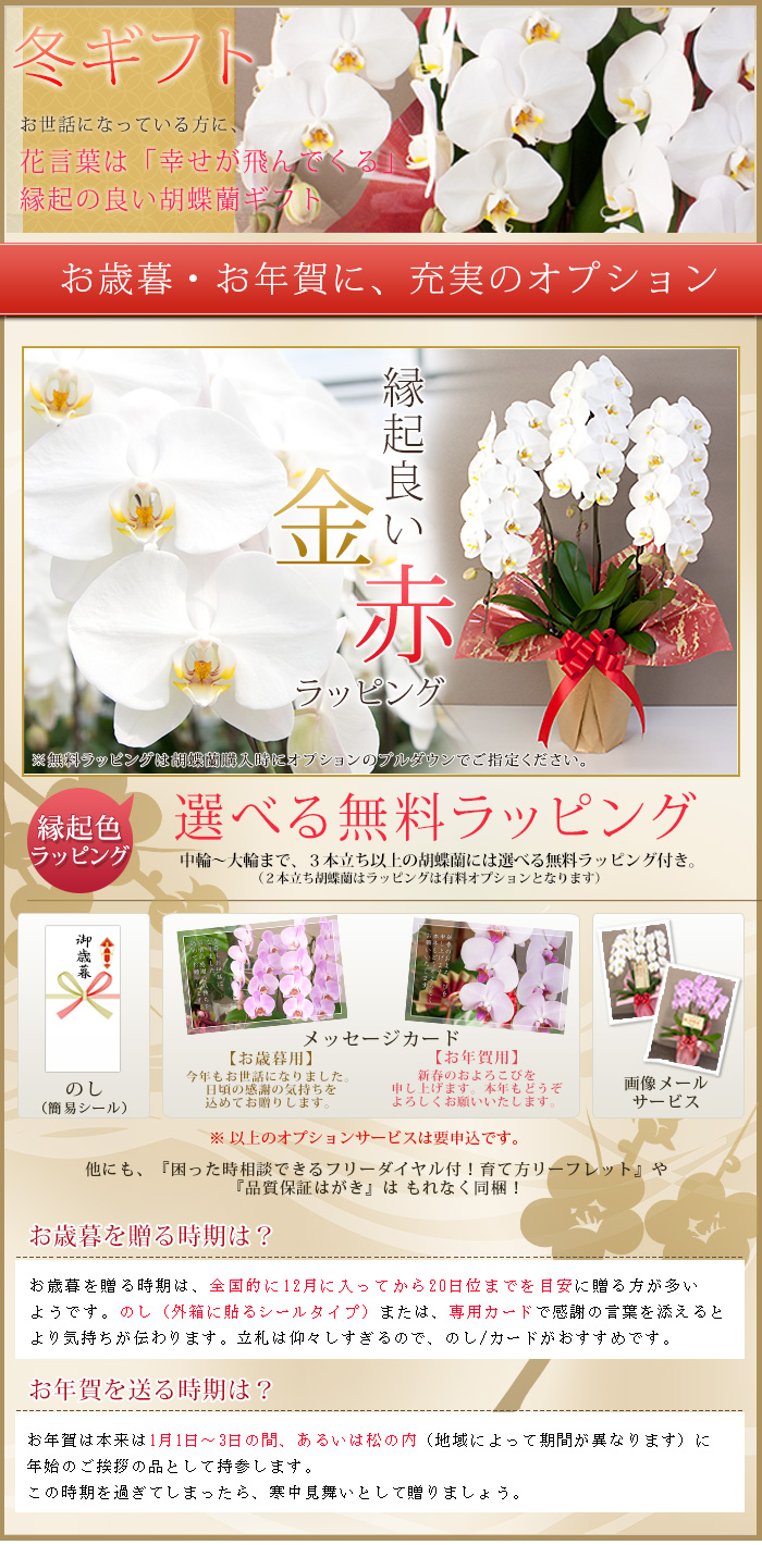 胡蝶蘭専門農園 Iファーマーらんぼ お歳暮 お年賀 冬ギフト 専門農園直送 胡蝶蘭 Yahoo ショッピング