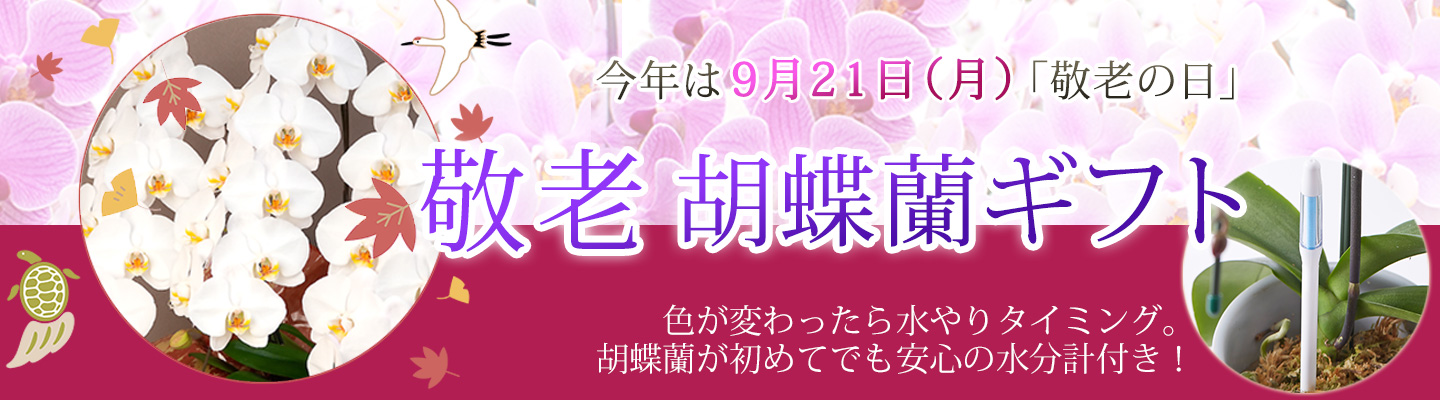 敬老バナー