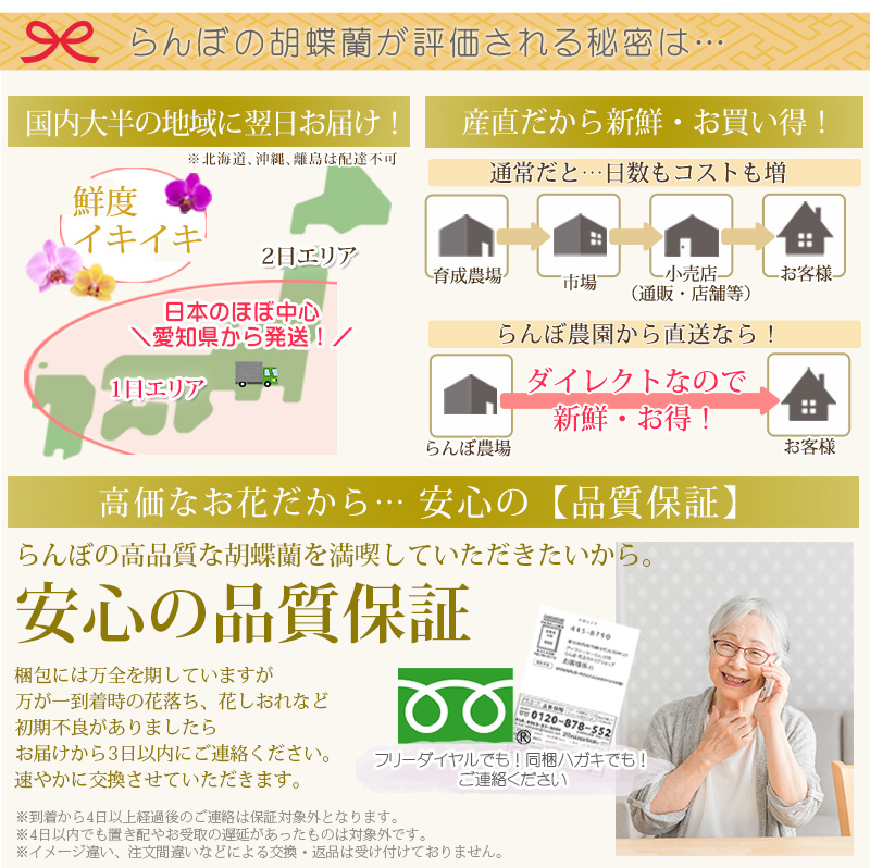 らんぼのメリット