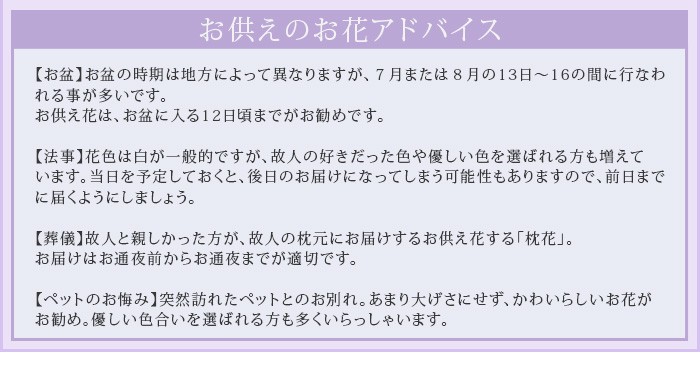 胡蝶蘭専門農園 Iファーマーらんぼ お供え お悔やみ事 専門農園直送 胡蝶蘭 Yahoo ショッピング