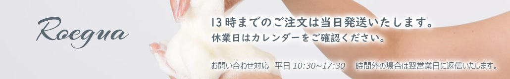 手汗・消臭・臭いケア専門ロエグア ヘッダー画像