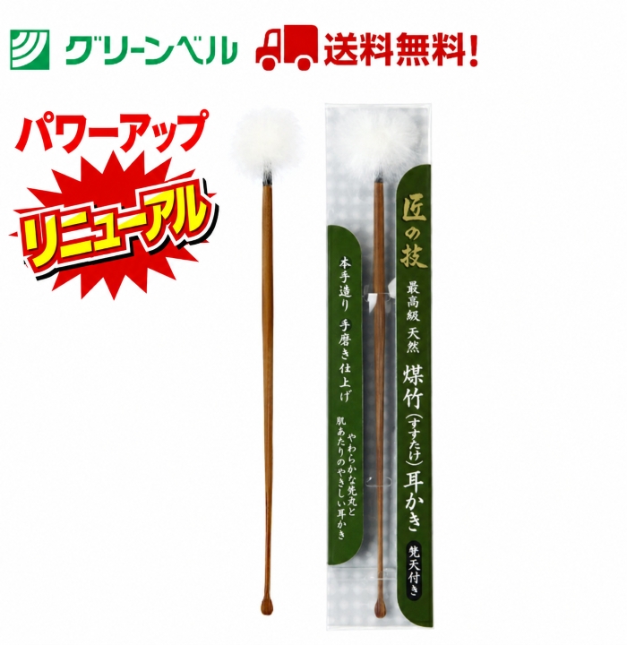 耳かき ご当地 全国 いろいろ 耳かき ご当地 全国 いろいろ いかめし ご当地おもしろ 耳かき 食品