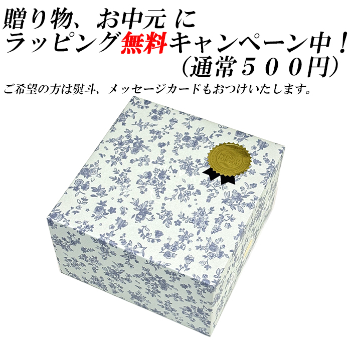 お中元ラッピング無料 南部鉄器 鉄瓶 急須 0...の詳細画像1