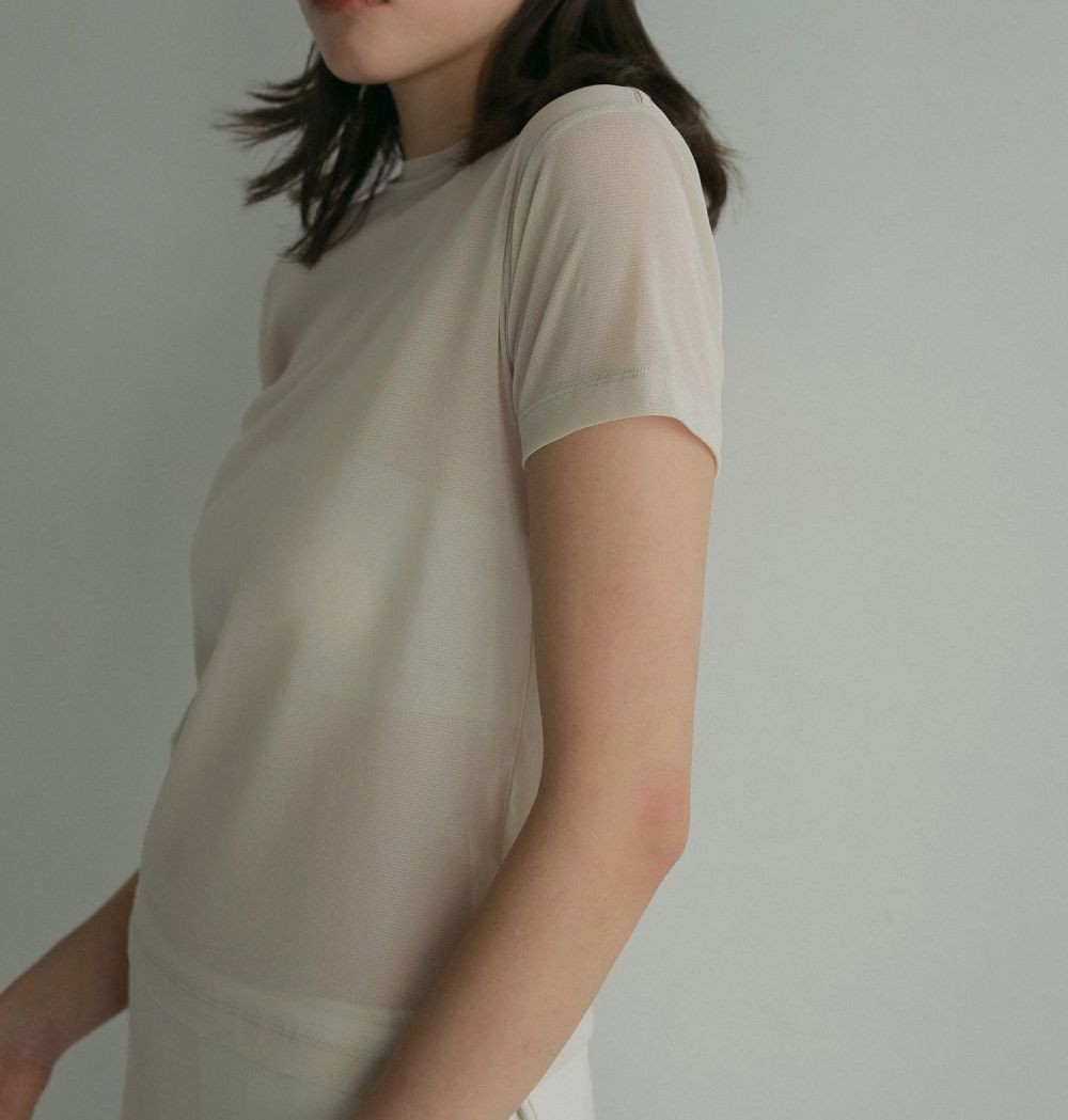 anuke（アンヌーク） Sheer Tulle T-shirts 即納 : RAPTURE - 通販