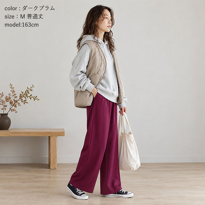 2691円 クーポンで！ パンツ ワイドパンツ ストレッチ 秋 冬 通年 レディース ジョーゼット ウエストゴム 無地 高身長 低身長 ボトムス 韓国 カジュアル ^b541^ | uricca | 30