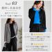 1190円 2点購入クーポンで! シアートップス シースルー レディース レイヤード 速乾 重ね着 秋 冬 Tシャツ 長袖 無地 メロウ ハイネック 薄手 ^t1006+t1086^ 関連画像3