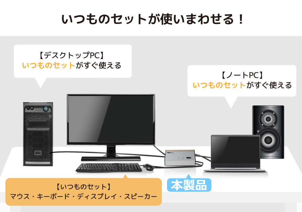 RATOC Systems（ラトックシステム） USB接続 DVI Audio対応 (PC2台用