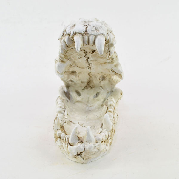 クロコダイルスカル オブシェ ワニ 鰐 骨 骸骨 植物 置物 : ラタン