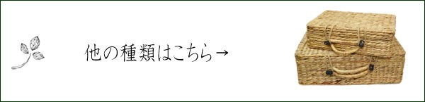 ウォーターヒヤシンストランクバスケットLサイズ