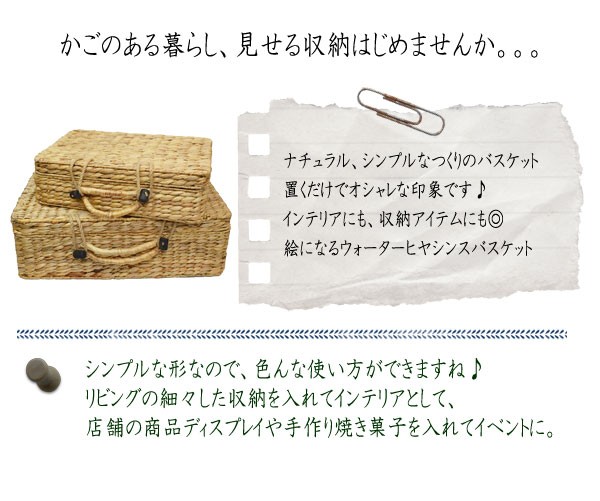 ウォーターヒヤシンストランクバスケット2セットS・L