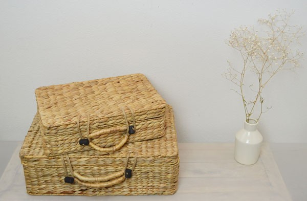 ウォーターヒヤシンストランクバスケットLサイズ