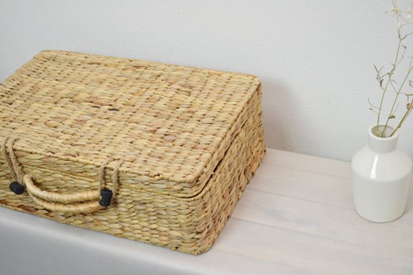 ウォーターヒヤシンストランクバスケットLサイズ