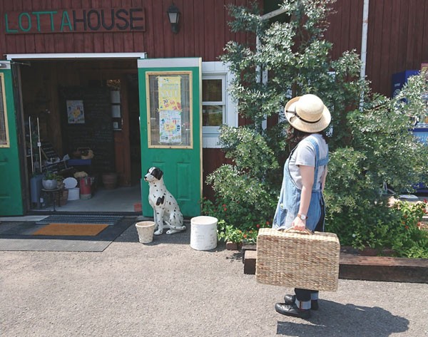 ウォーターヒヤシンストランクバスケットLサイズ