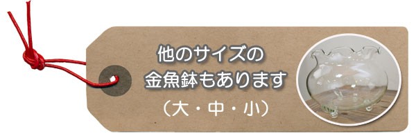 フリル金魚鉢中ガラス製涼しげなきんぎょ鉢"