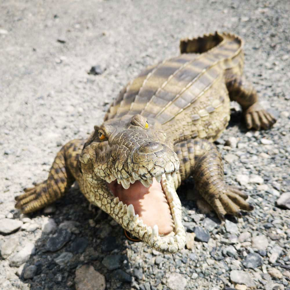 わにの置物 クロコダイル レジン製 ワニのオブジェ 爬虫類