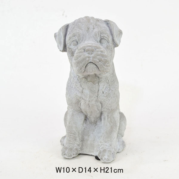 セメント ガーデンオブジェ 犬 パグ ドッグ 置物 玄関 : ラタン