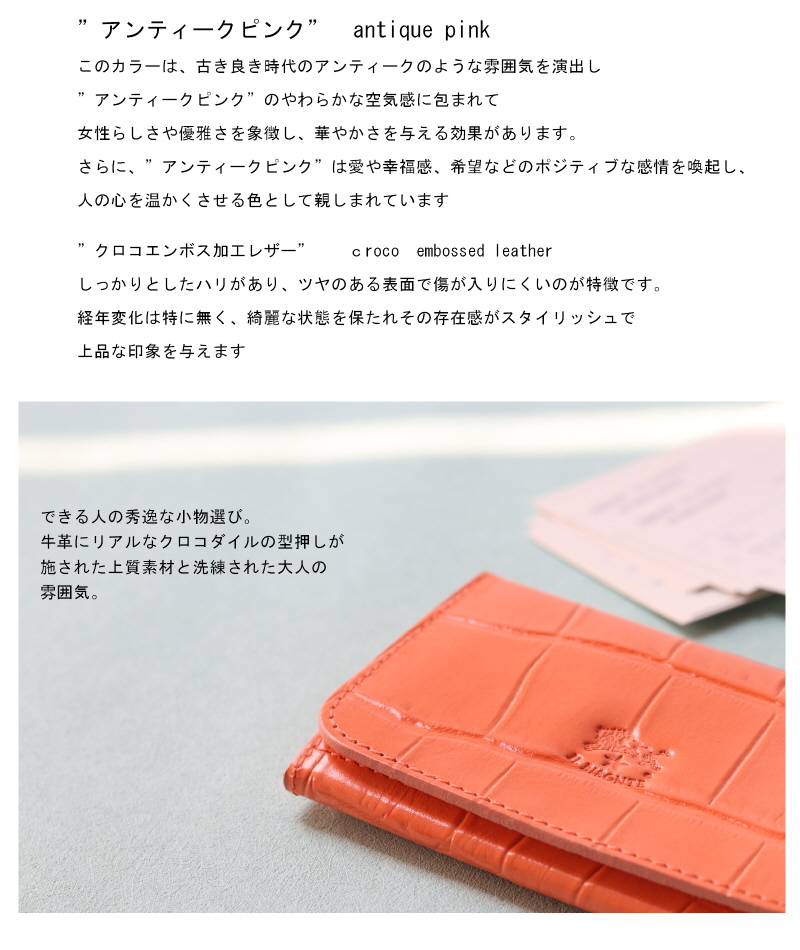 IL BISONTE（イルビゾンテ） カードケース 名刺入れ IL BISONTE〔 2024