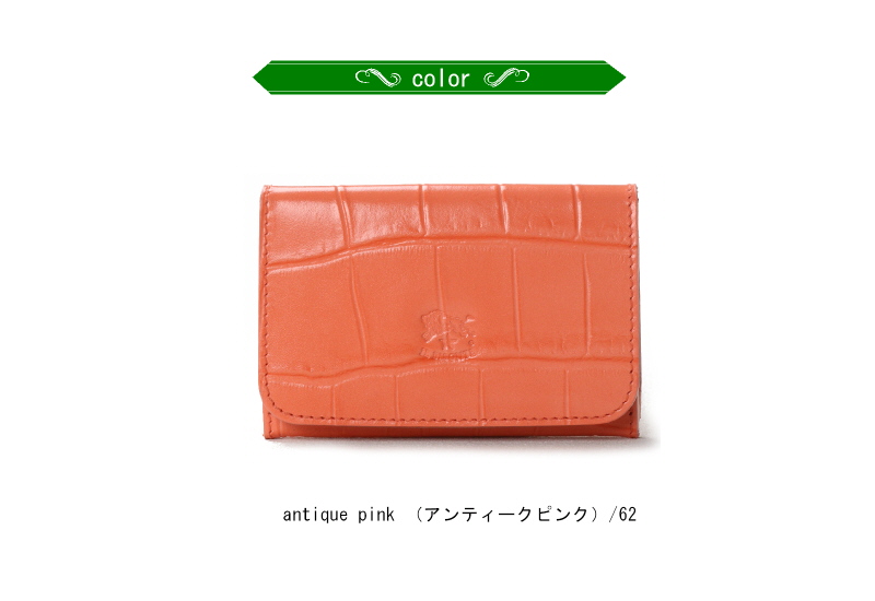 IL BISONTE（イルビゾンテ） カードケース 名刺入れ IL BISONTE〔 2024