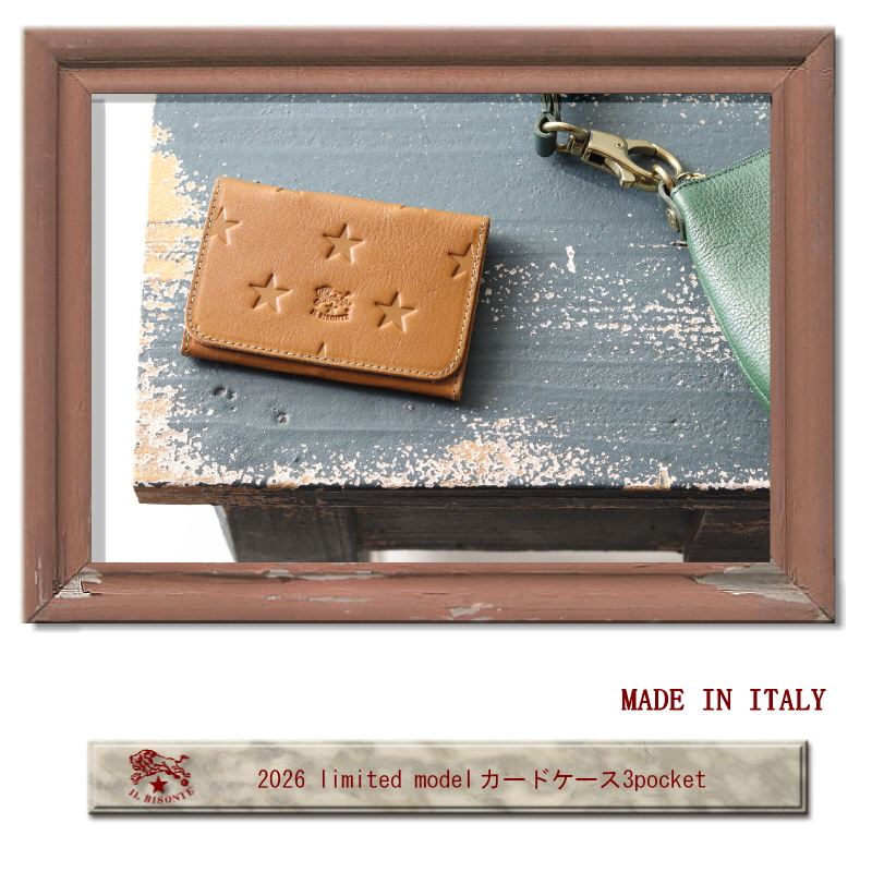IL BISONTE（イルビゾンテ） カードケース 名刺入れ limited model