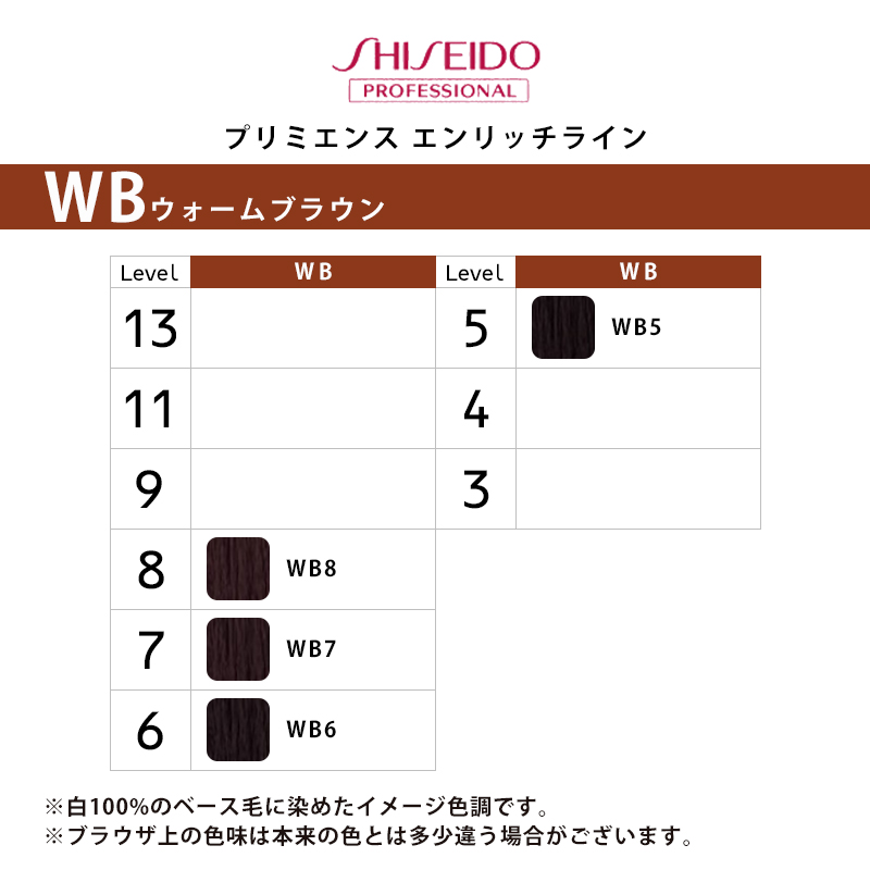 資生堂　プリミエンスエンリッチ　52本セット 資生堂プリミエンスエンリッチ52本セット