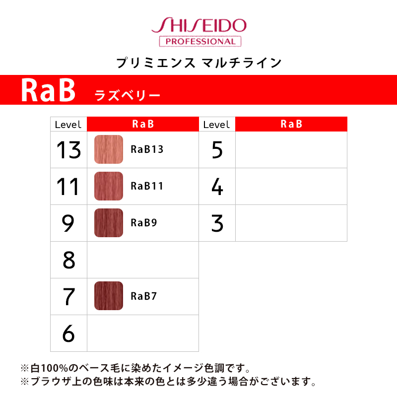 SHISEIDO PROFESSIONAL（資生堂プロフェッショナル） プリミエンス