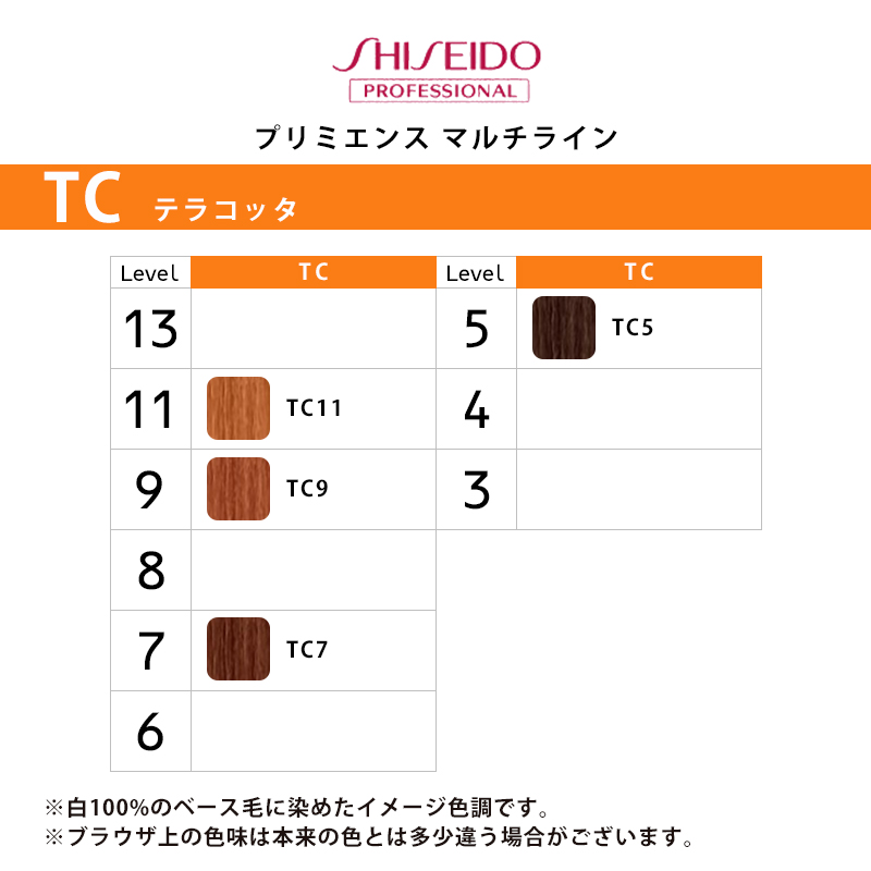 SHISEIDO PROFESSIONAL（資生堂プロフェッショナル） プリミエンス