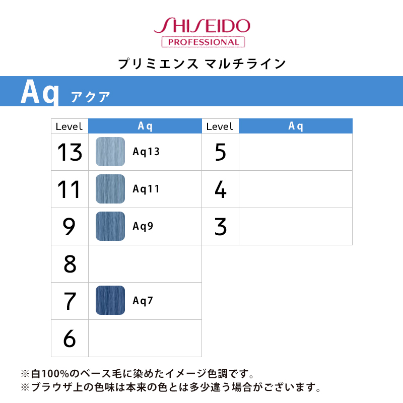 SHISEIDO PROFESSIONAL（資生堂プロフェッショナル） プリミエンス