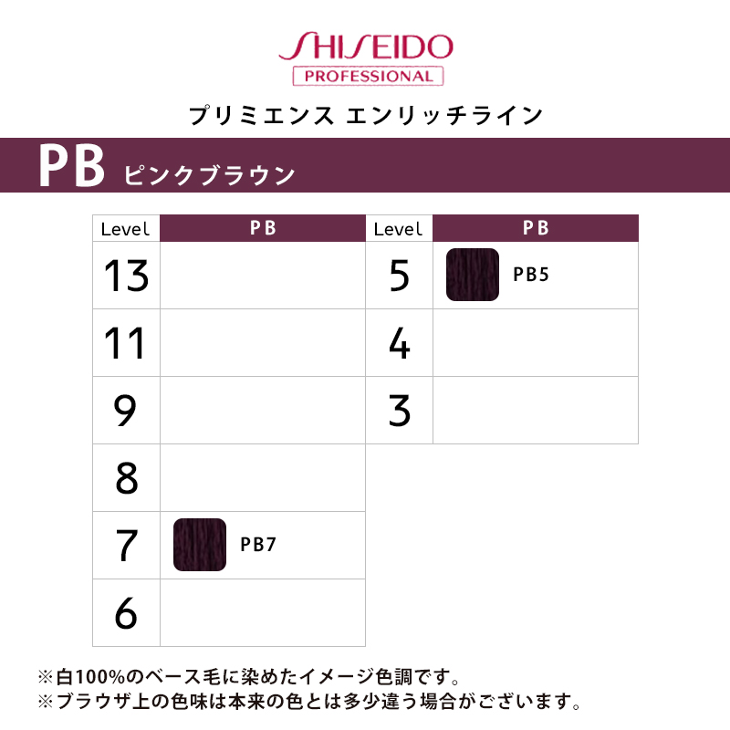 資生堂　プリミエンス　エンリッチ　ピンクブラウン系　PB系　各種13本セット SHISEIDO PROFESSIONAL（資生堂プロフェッショナル） プリミエンス
