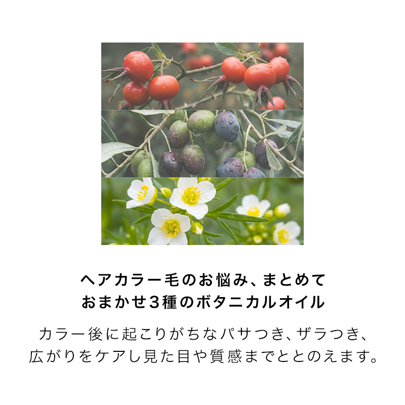 MILBON & ミルボン アンド シャンプー no.00 500ml + トリートメント