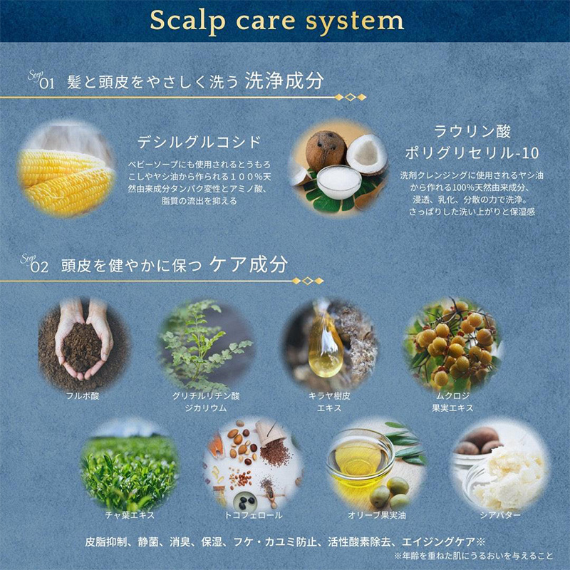 正規取扱店 ビーターコスメティクス ビーター クリームシャンプー 500g