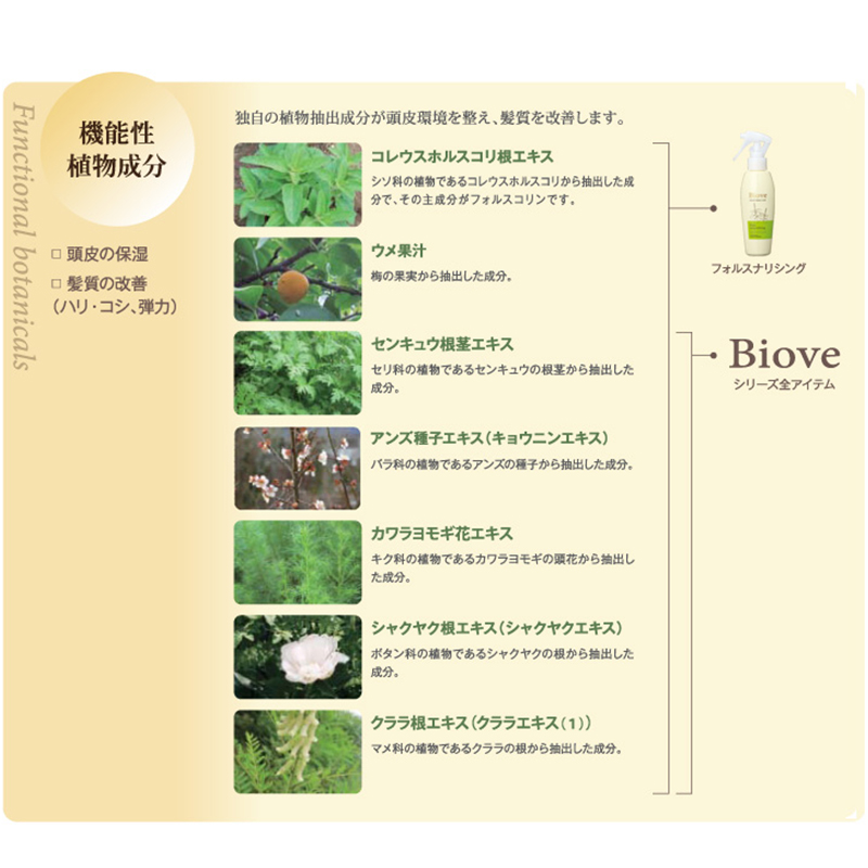 ビオーブ　頭皮お手入れ　各種 ビオーブ(Biove)公式サイト スカルプ＆ヘアケアシリーズ｜デミ